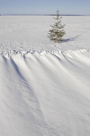 Januári népszokások