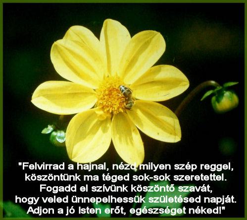 2f10f88d14 képeslapja