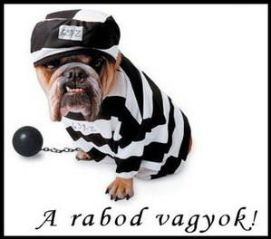 Zsuzsa242 képeslapja