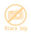 Nincs kép