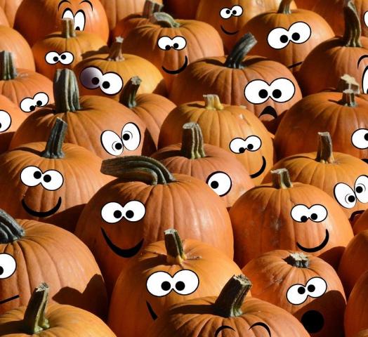 Halloween tökök és tartósításuk