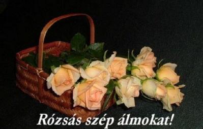 Topcsi képeslapja