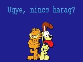 Mókica képeslapja