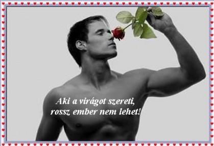 Gretaa képeslapja