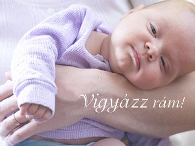 Mókica képeslapja