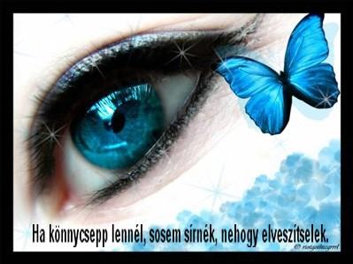 Nayloon képeslapja