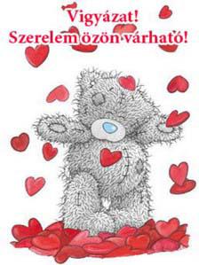 Beary képeslapja