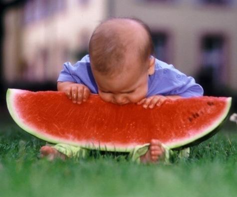 Hápi képeslapja