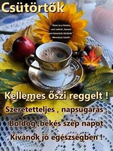 Ildikó29 képeslapja