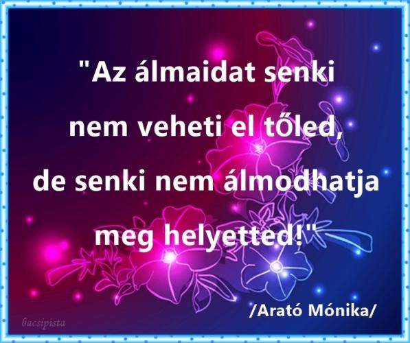 Violka képeslapja