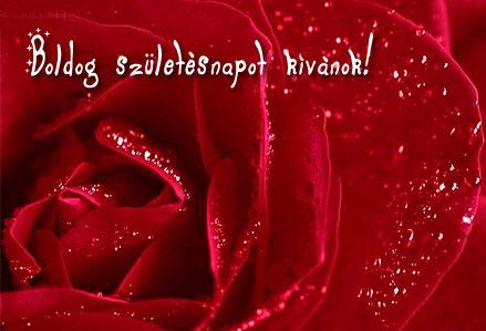 55a8f5cd21 képeslapja