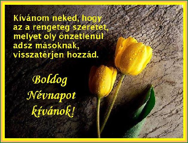 Bnedora képeslapja